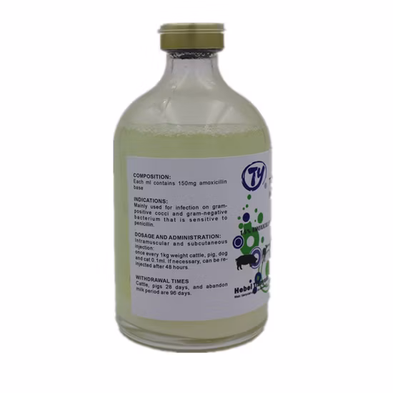 Amoxicillin Injection 15% GMP Factory Antibacterials Veterinary Drugs for Livestock Animal Cattle Pig Dog and Cat