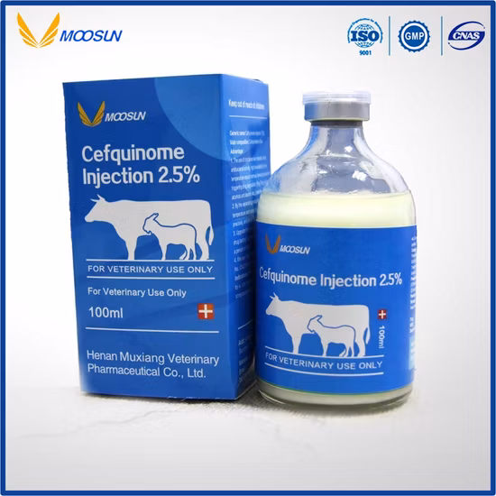 Manufacture Veterinary Drug Medicine 0.2% Dxm Injection for Animal Use with GMP ISO
