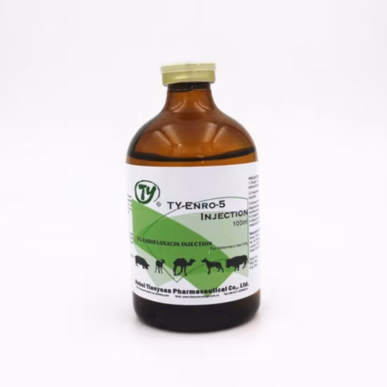 Enrofloxacin Injection 5% 10% 500ml 250ml 100ml 50ml 10 Ml Antibiotics Antibacterials Veterinary Drugs for Animal Livestock